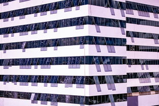 九游网页官网-中国篮球联赛青训体系建设与发展趋势,篮球青训队是什么意思