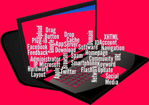 九游.中国官网-体育赛事志愿服务质量管理研究,体育赛事志愿者工作安排方案