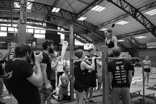 九游官网入口注册-“2025世界游泳锦标赛：水上芭蕾精彩纷呈，艺术之美与竞技并行”